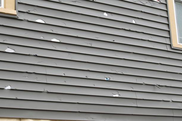 Best Shed Removal  in Waterford, WI